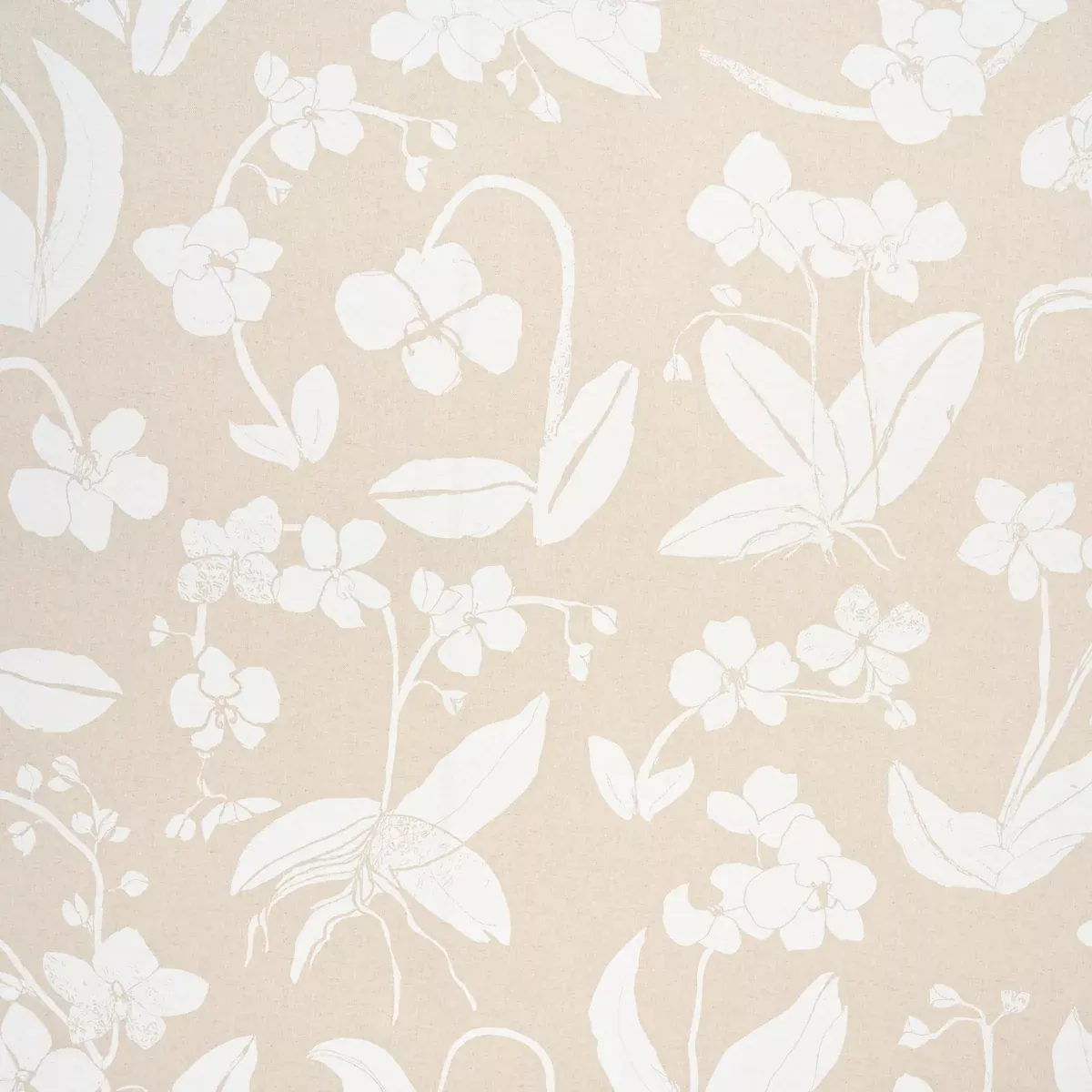 ORCHIDS HAVE DREAMS LIGHT NEUTRAL