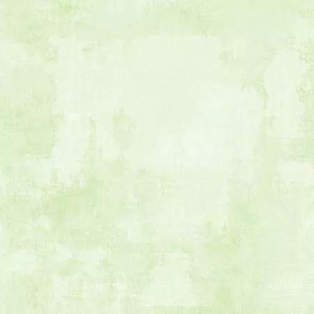 Pale Lime Dry Brush 1077-89205-700