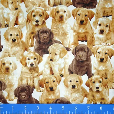 Pedigree Dogs – C5890