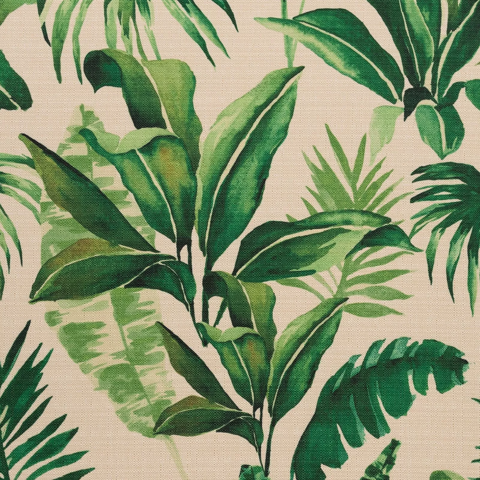 peking-clover Peking-Clover
