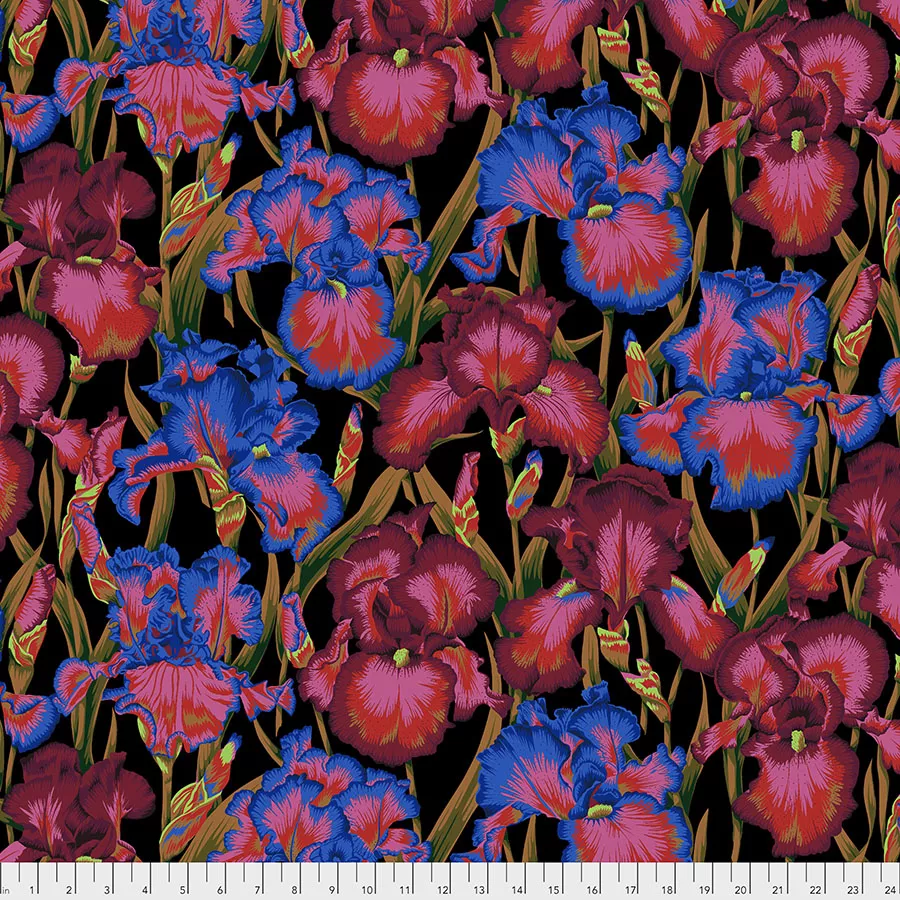 Philip Jacobs - Bearded Iris - Dark