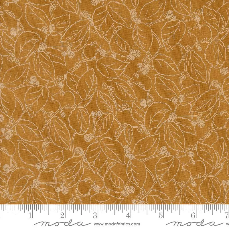 Rainier Caramel 38145 14