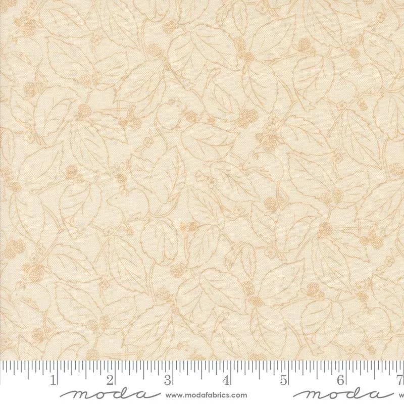 Rainier Eggshell 38145 11