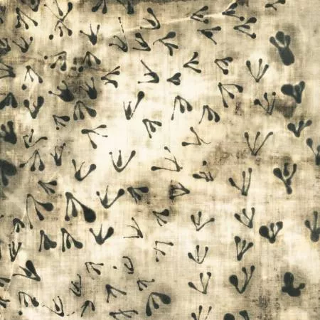 Random Thoughts - Ivory Beach Birds