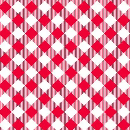 Red/White Bias Buffalo Check