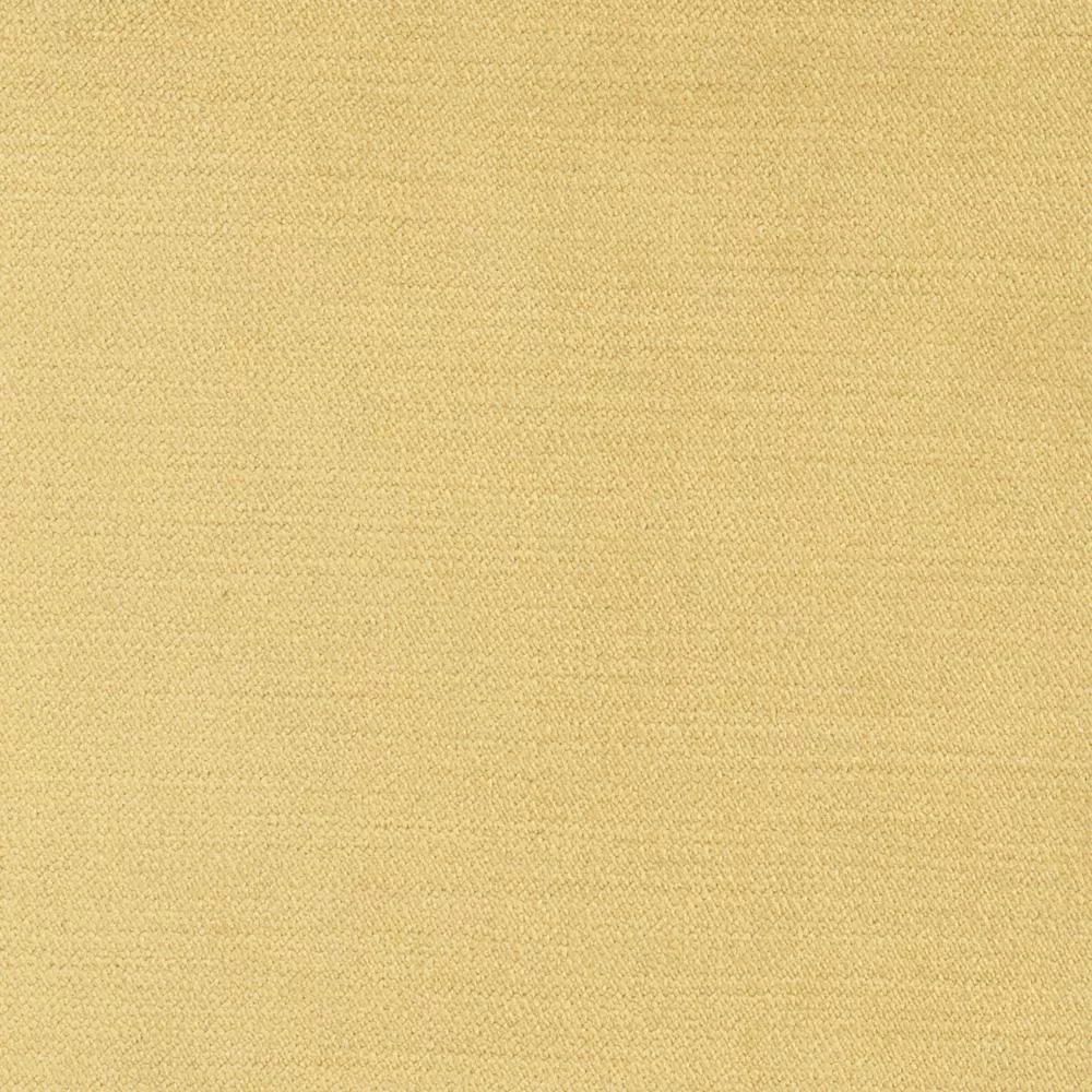 regal-touch-camel Regal Touch Camel