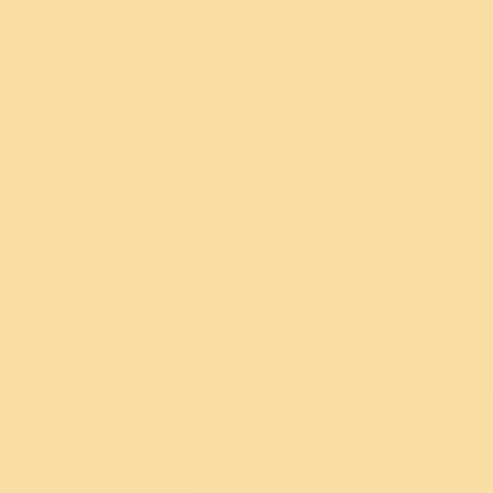 Riley Blake Confetti Cottons Color Beehive