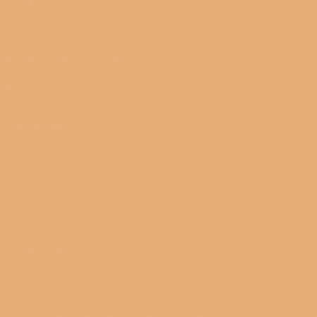 Riley Blake Confetti Cottons Color Daisy