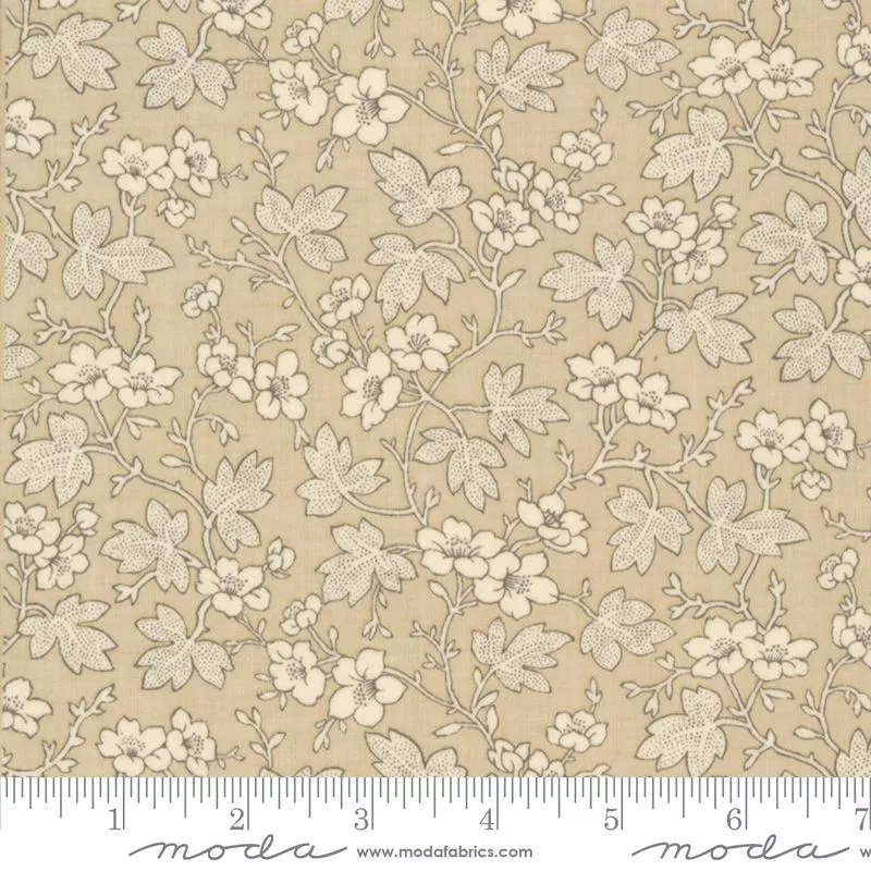 Rouenneries Trois Oyster 13964 16