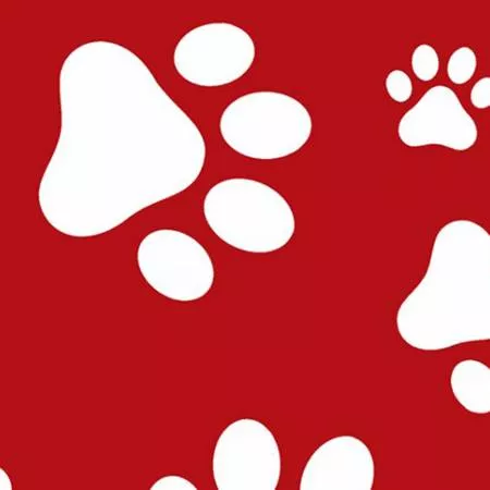 Scarlet Paws Cuddle
