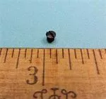 SCREW Singer 221 Bobbin Case Tension Adjusting