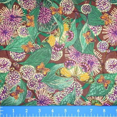 Sea Urchin Hakea – AUS012