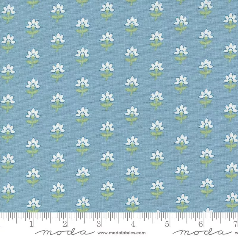 Shoreline - Light Blue