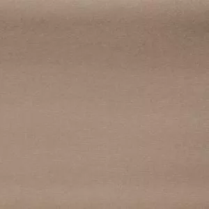 SONIC CAMEO