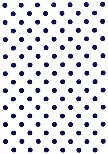 Spots & Stripes– White/Navy A