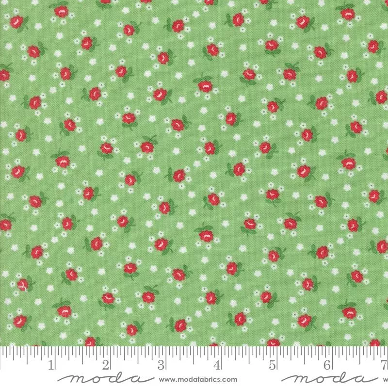 Summertime Green 55328 17