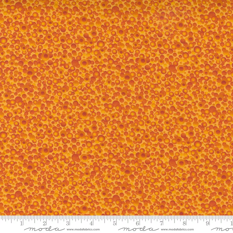 Sunflower Dreamscapes Orange