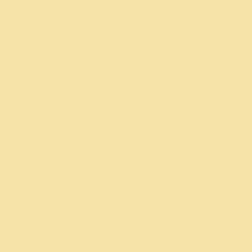 Sunshine | Riley Blake Solids