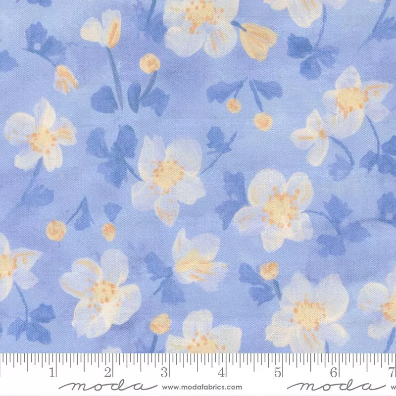 Sweet Cecily 24641 14 Hyacinth