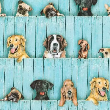 Sweet Dog & Pup Fence
