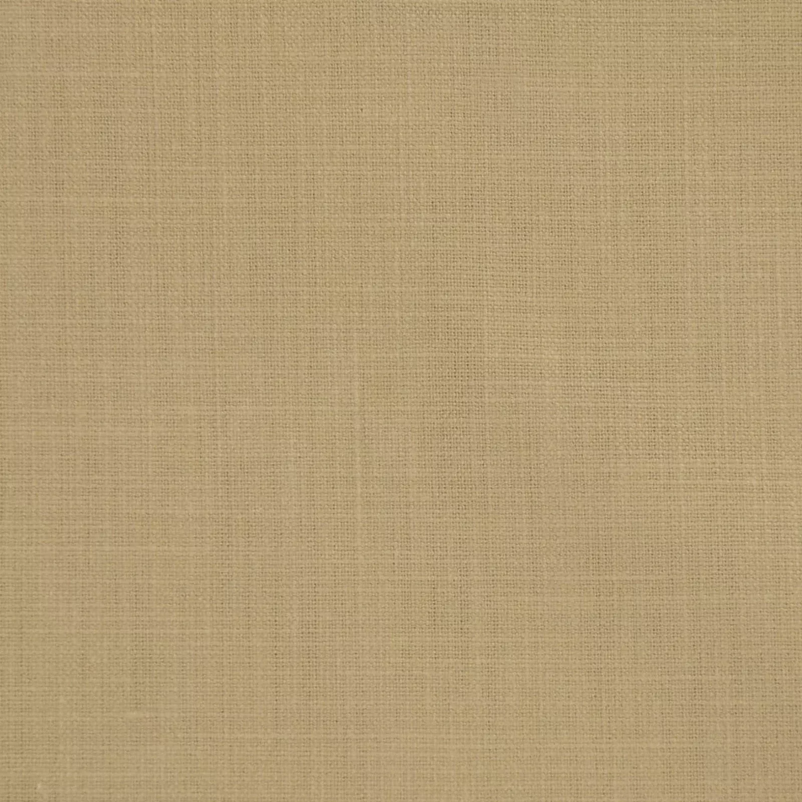 Tamin-Wheat