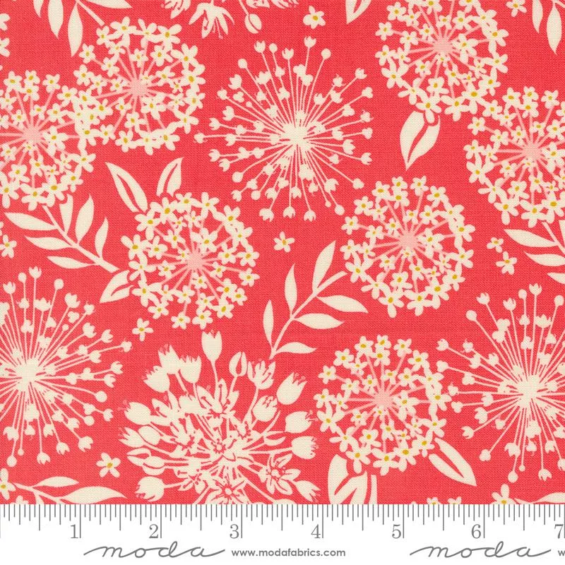 Tango Simpatico Tangerine 27332 12