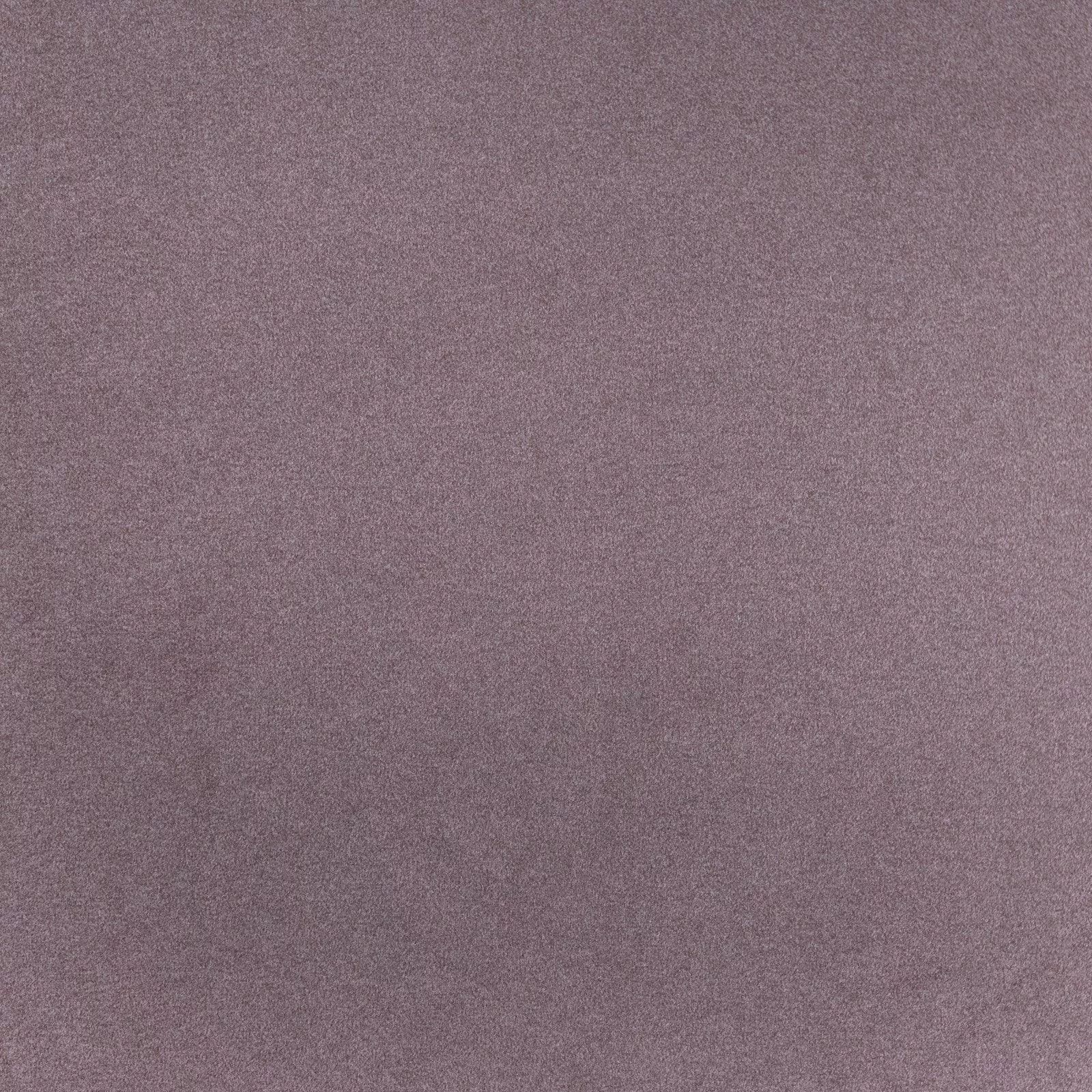 tarzan-deep-lilac Tarzan-Deep Lilac