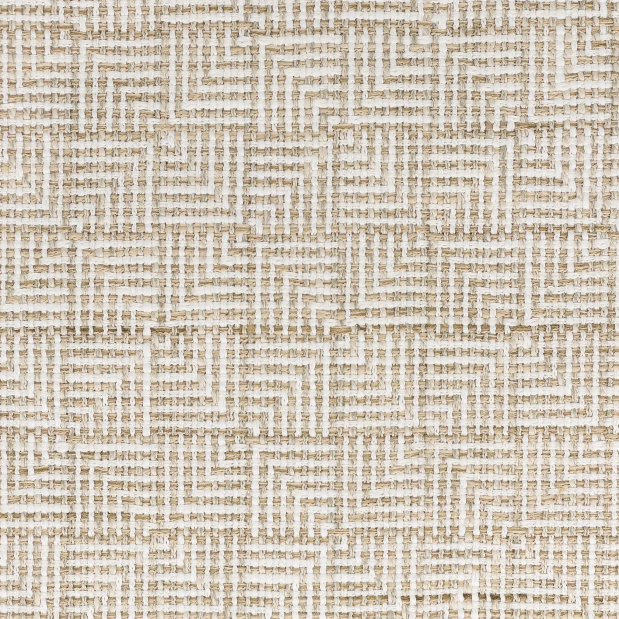 theme-2-birch THEME 2 BIRCH