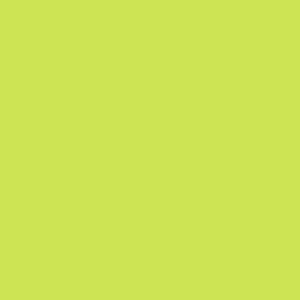 tula-pink-solids-in-limeade Tula Pink Solids in Limeade