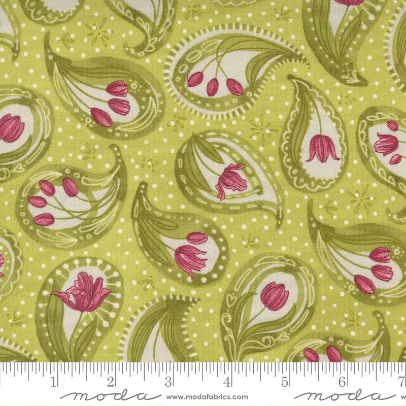 Tulip Tango - Chartreuse - Med Flower