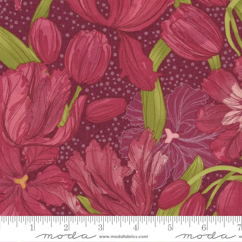 Tulip Tango Cranberry