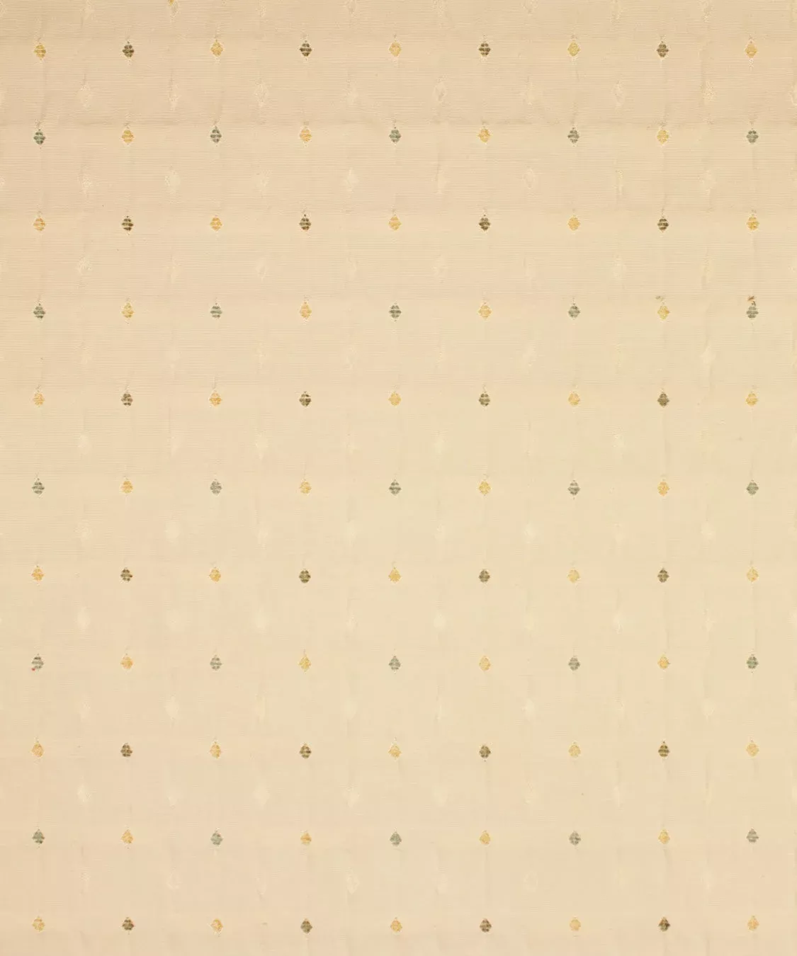 versus-birch VERSUS BIRCH