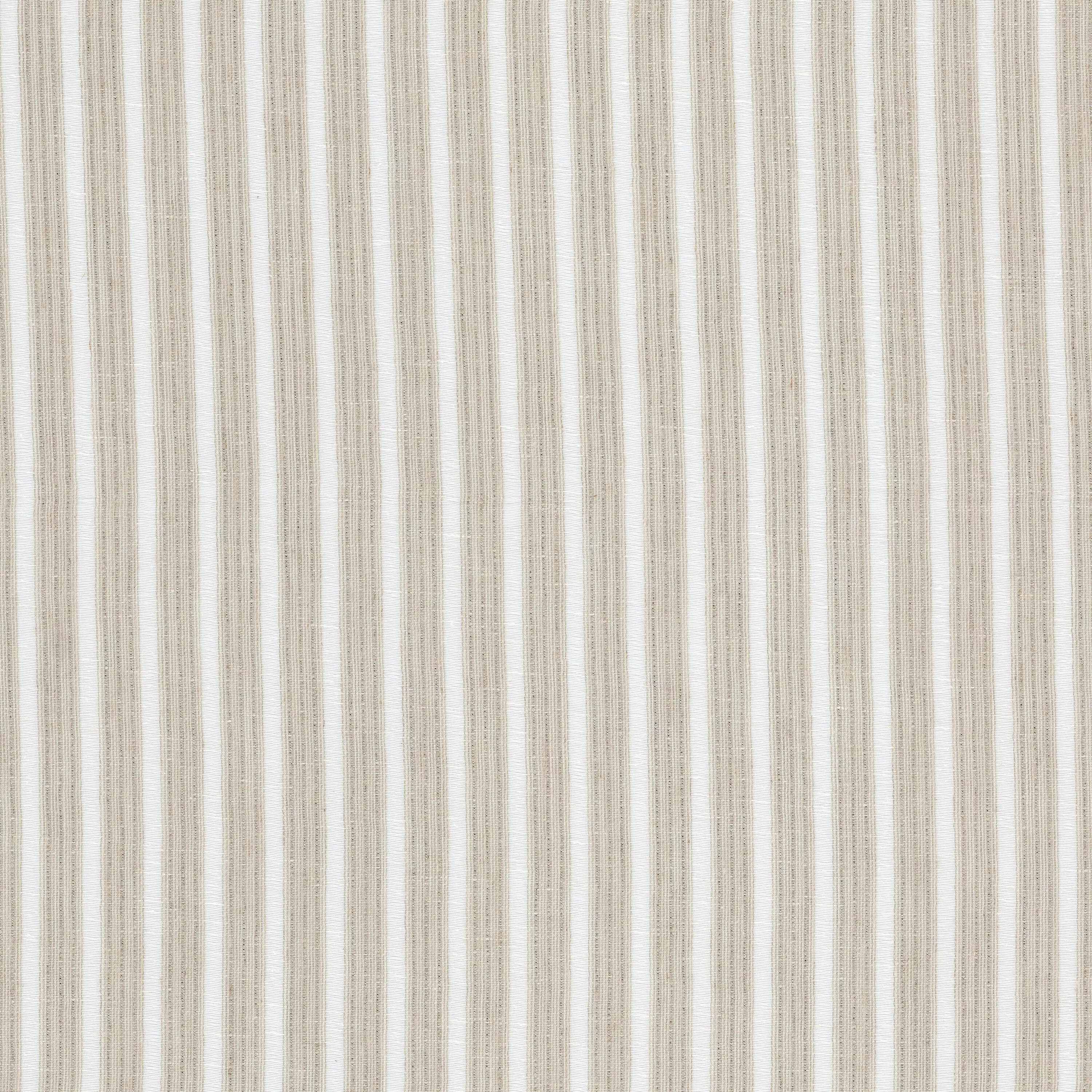 VICINITY 1 PUMICE