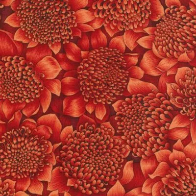 waratah-bloom-11200-3-fat-1-4 Waratah Bloom – 11200-3 (Fat 1/4)