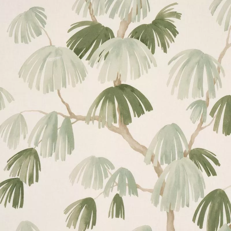 WEEPING PINE SAGE