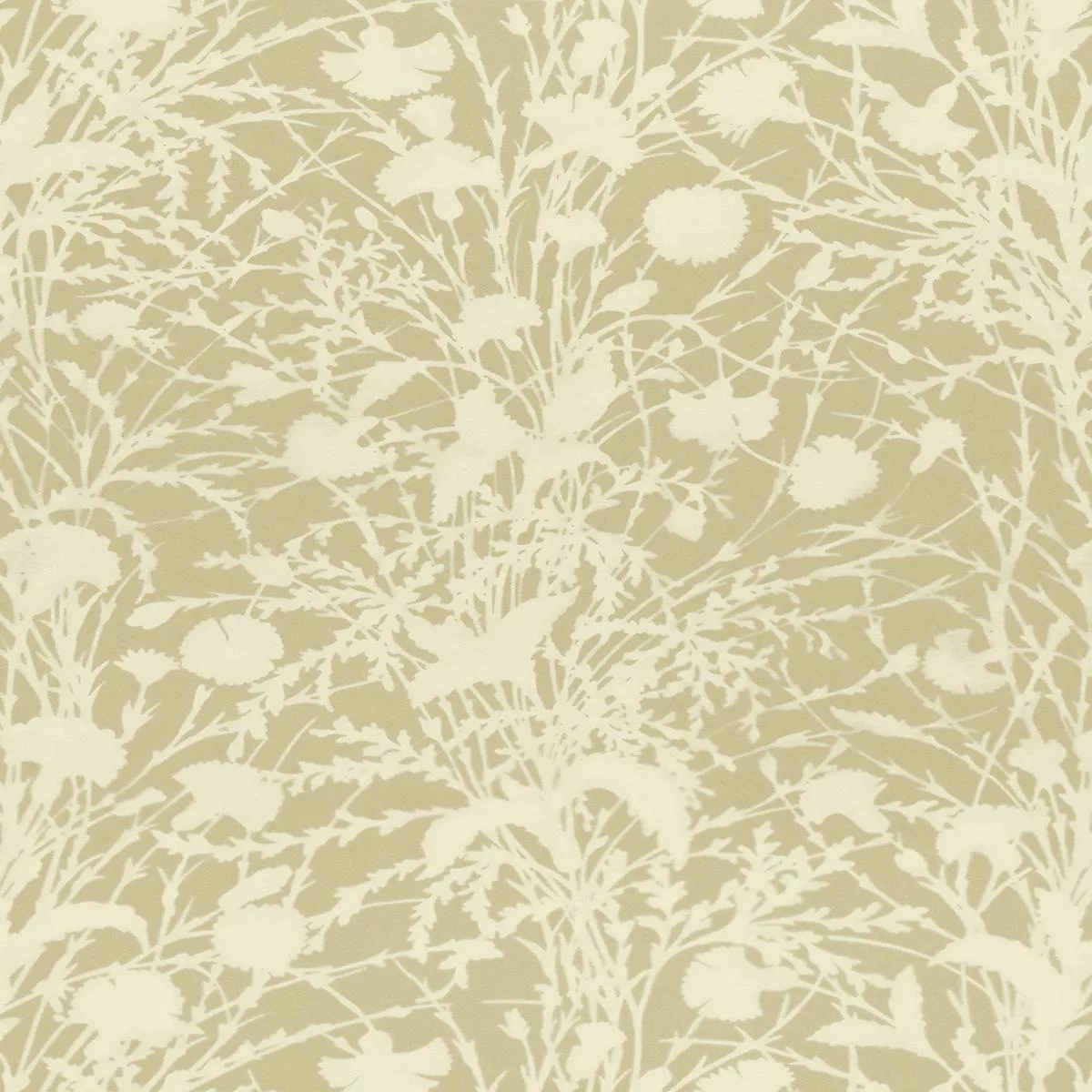 Wildflower – Oat by Scalamandre Fabric