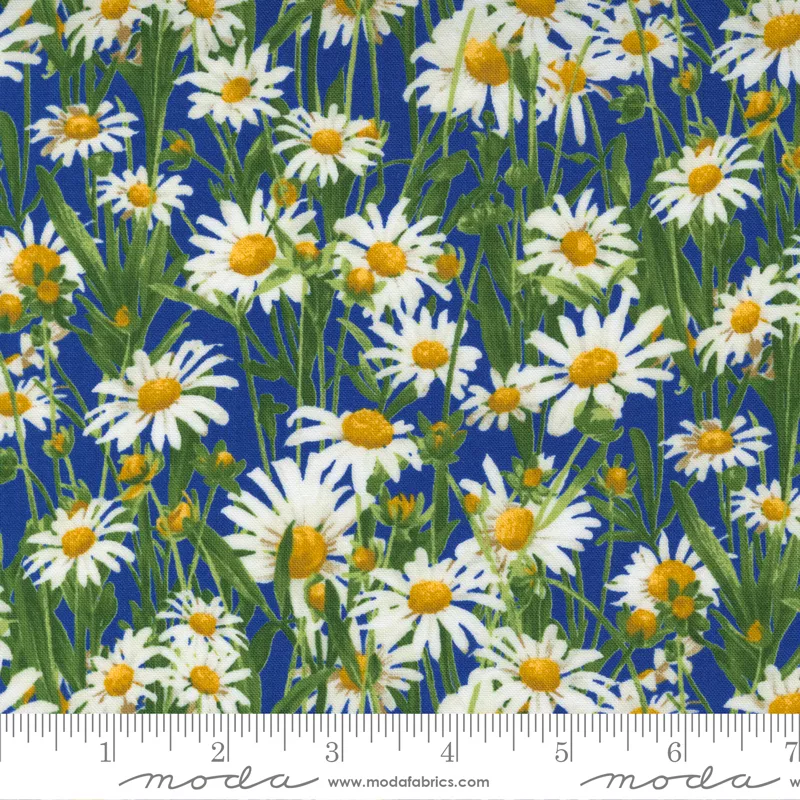 Wildflowers Bluebonnet