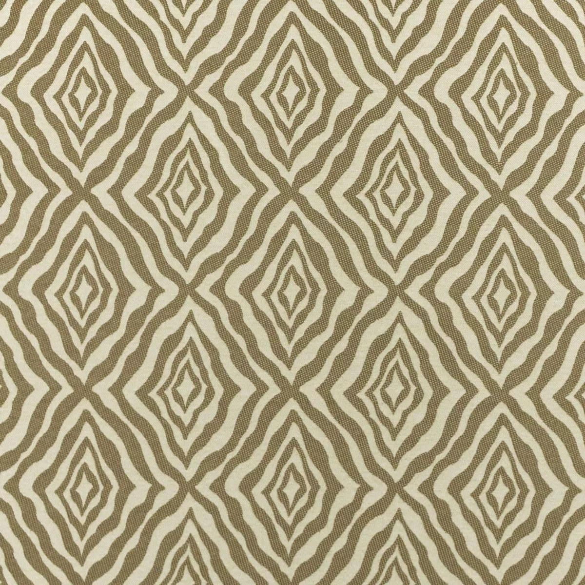 Zumba Truffle Covington Fabric